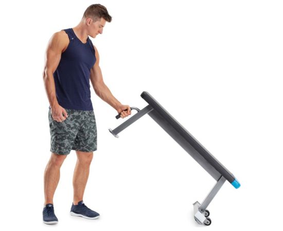 Proform Carbon Strength PFBE09620 horizontal bench