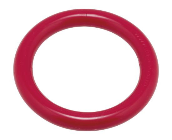 Diving ring FASHY 4204 40 red