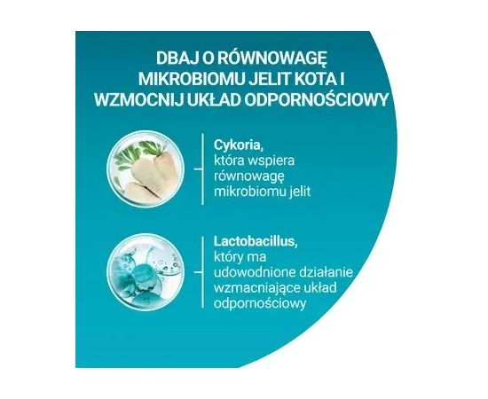 PURINA One Sterilcat Wołowina - dry cat food - 9,75kg