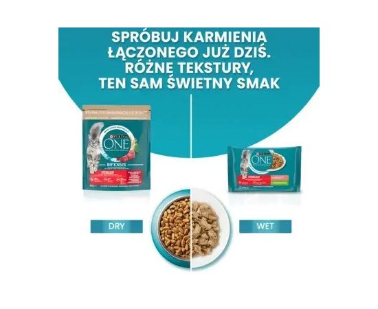 PURINA One Sterilcat Wołowina - dry cat food - 9,75kg