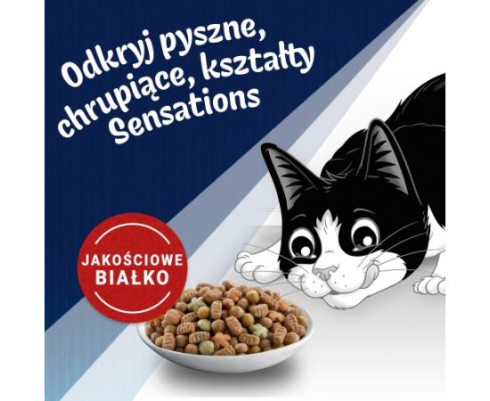 PURINA Felix Countryside Sensations - dry cat food - 1kg