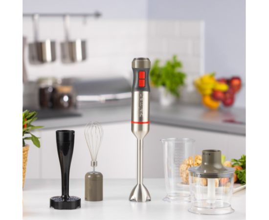 Zelmer ZHB4652 VARIO 0.5 L Immersion blender 1400 W Grey, Silver