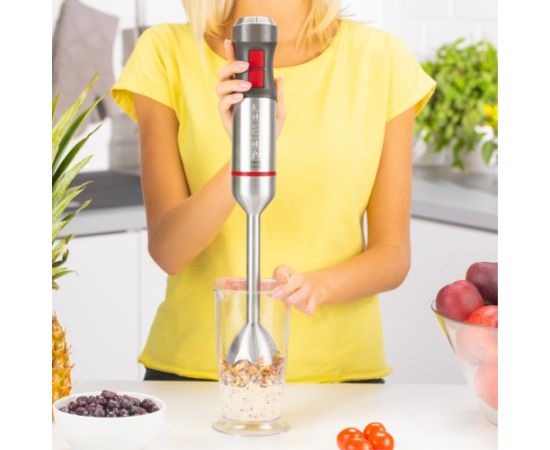 Zelmer ZHB4652 VARIO 0.5 L Immersion blender 1400 W Grey, Silver