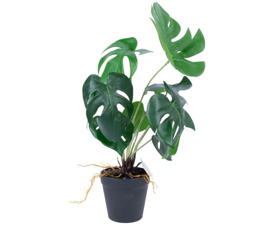 Artificial plant GREENLAND H40cm, Monstera