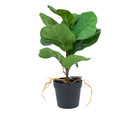 Artificial plant GREENLAND H35cm, Clusia rosea