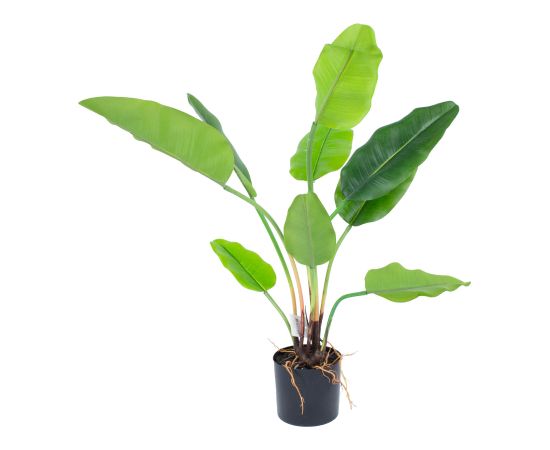 Artificial plant GREENLAND H78cm, Strelitzia