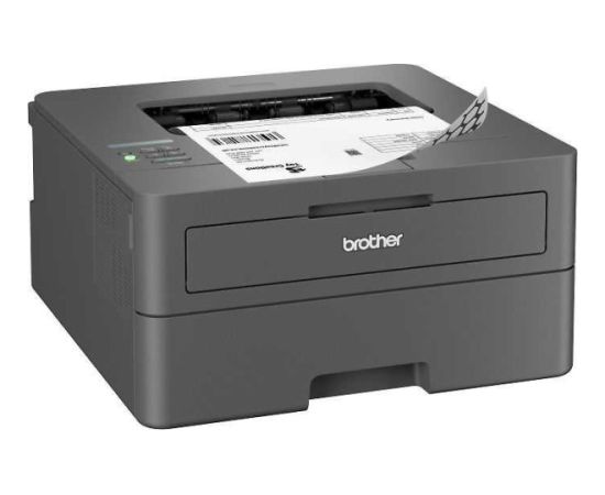 Printer Brother HL-L2400DW