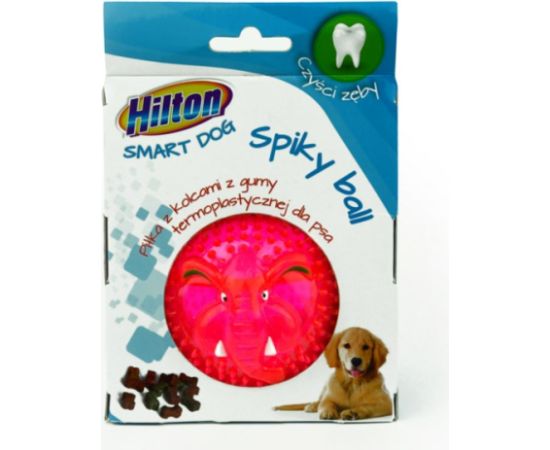 HILTON Dog Spiky Ball mix kolor piłka z kolcami  8cm dla psa