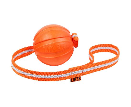 Ball on a rope for puppies and small dogs Liker Line 7 Waudog