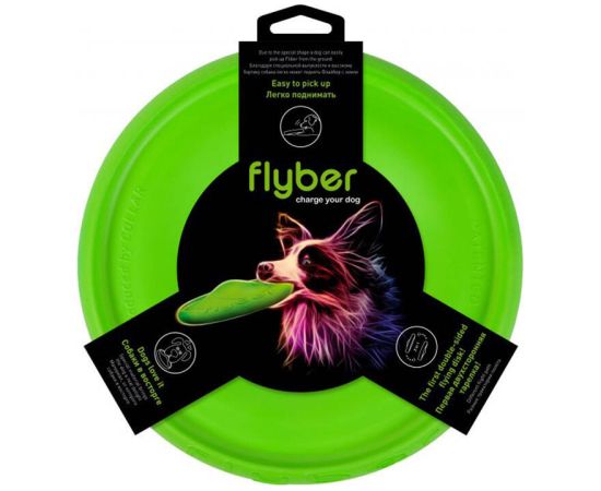 Double-sided flying disc Flyber Waudog 22 cm, light green