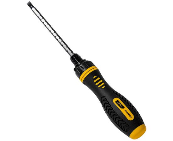 Ratchet screwdriver Deli Tools EDL626011, 6/PH2x180mm