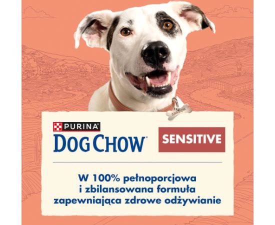 PURINA Dog Chow Sensitive Salmon - dry dog food - 14 + 2,5kg