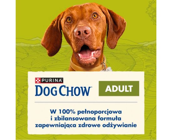 PURINA Dog Chow Adult Lamb - dry dog food - 14 + 2,5kg