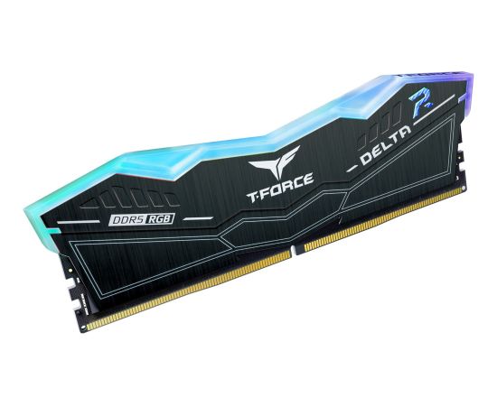 Team Group 32 GB DDR5-5600 Kit, Memory (Black, FF3D532G5600HC32DC01, Delta RGB, XMP)