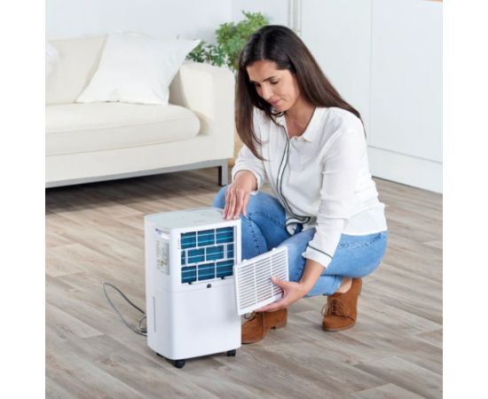 Taurus Pleasant 12l dehumidifier