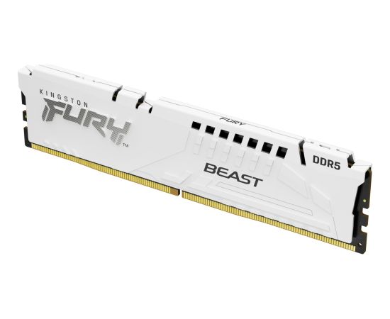 Kingston FURY 32 GB DDR5-5600, memory (white, KF556C36BWE-32, Beast, EXPO)