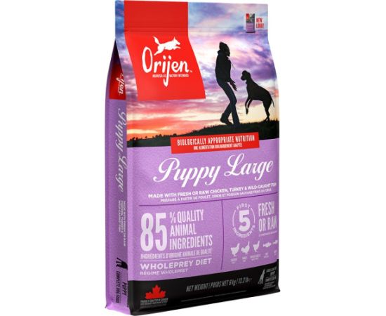 Orijen Puppy Large 6 kg Chicken, Fish, Turkey