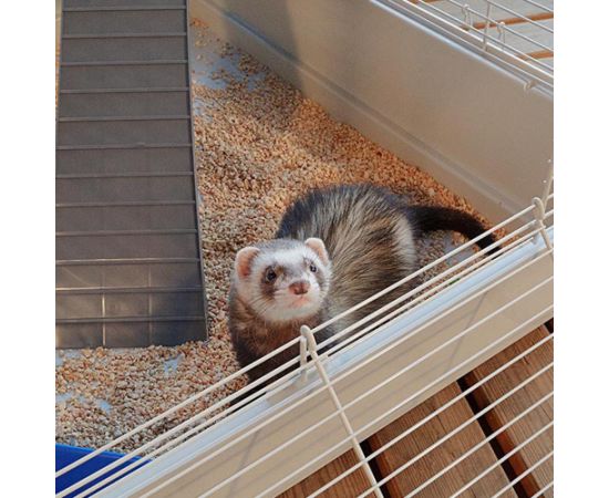 FERPLAST Furet Tower - Cage