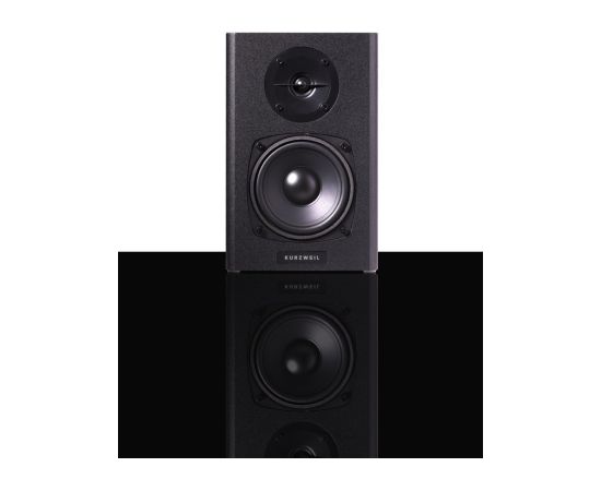 Kurzweil KS-40A - a pair of studio monitors