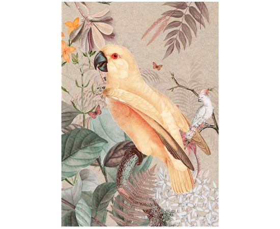 Kanvas 60x80 Yellow parrot