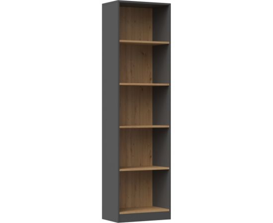 Top E Shop Topeshop R50 ANT/ART office bookcase