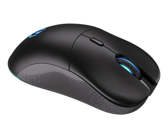 ENDORFY Gem Plus Wireless, gaming mouse (black)