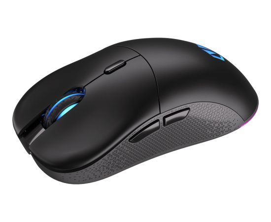 ENDORFY Gem Plus Wireless, gaming mouse (black)