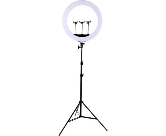 Extradigital LED Ring Lamp 45cm With Desktop Tripod Mount Up To 2.1m