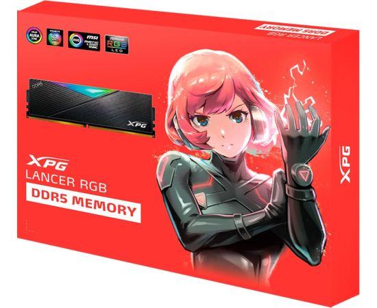 ADATA DIMM 32 GB DDR5-5600 Kit, memory (black, AX5U5600C3616G-DCLAR, XPG Lancer RGB, XMP, EXPO, for AMD)