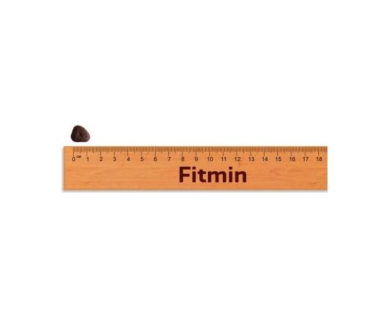 FITMIN Purity GF Puppy Fish 2 kg