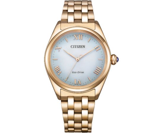 Citizen Eco-Drive EM1143-81X