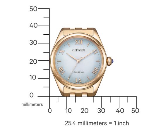 Citizen Eco-Drive EM1143-81X