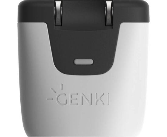 Genki Covert Dock Mini docking station