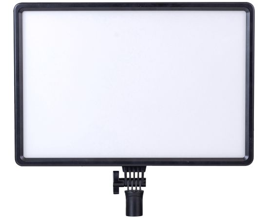 BIG постоянный свет Helios LED-50VC (428023)