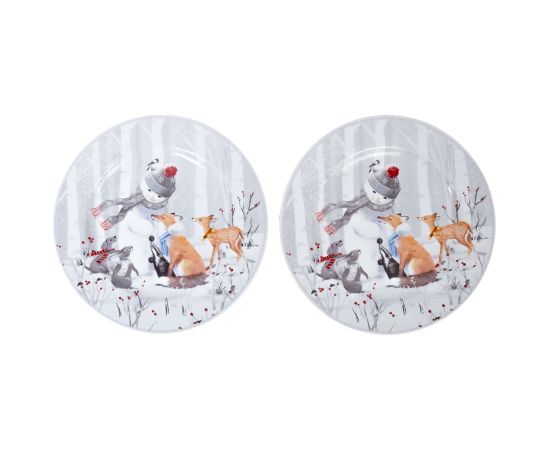 Plates MIA SNOW D19cm 2pcs in a gift box