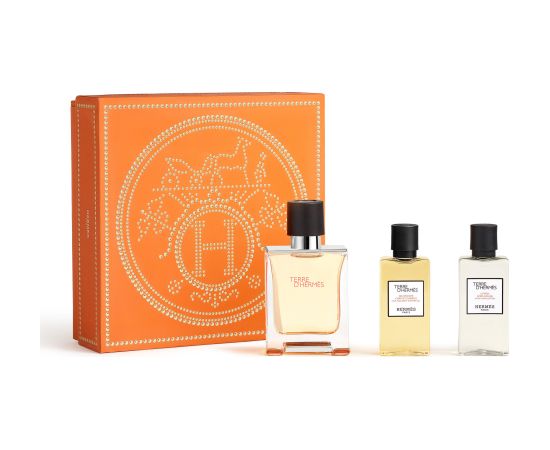 Hermes Terre D'Hermes Giftset 130 ml