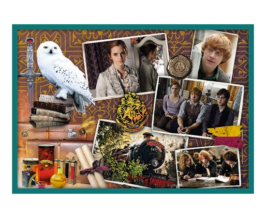 TREFL HARRY POTTER Комплект пазлов 10 в 1