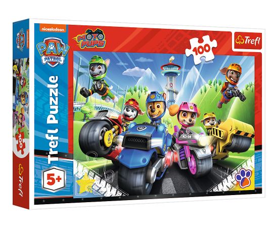 TREFL PAW PATROL Puzle Ķepu patruļa, 100 gab