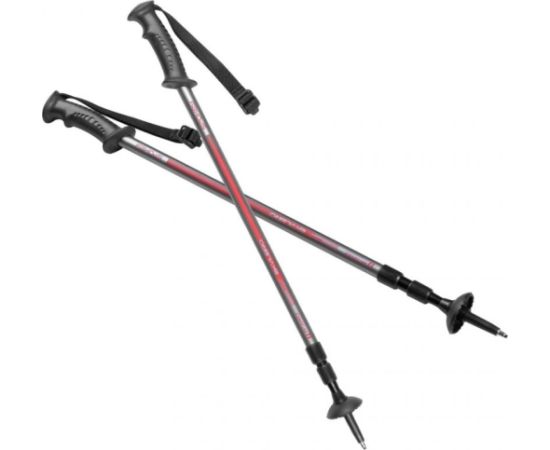 Spokey Ekvilibro GY RD 924976 trekking poles