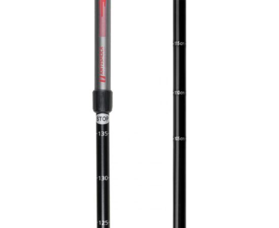 Spokey Ekvilibro GY RD 924976 trekking poles