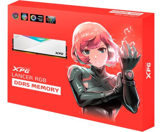 ADATA DDR5 - 32GB - 6800 - CL - 34 (2x 16 GB) dual kit, RAM (white, AX5U6800C3416G-DCLARWH, XPG Lancer RGB, INTEL XMP, AMD EXPO)