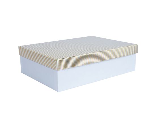 Box ELSA-6, with a lid kuld/hõbe, white