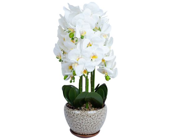 Orchid IN GARDEN H72cm grey pot