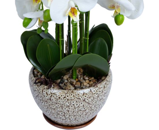 Orchid IN GARDEN H72cm grey pot