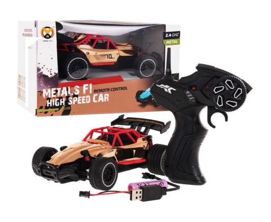 RoGer RACING 01 RC Metāla High Speed Auto 1: 20