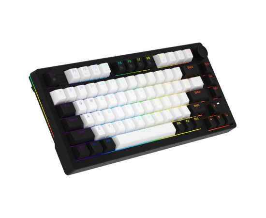 Dareu EK75 RGB wired keyboard (black and white)