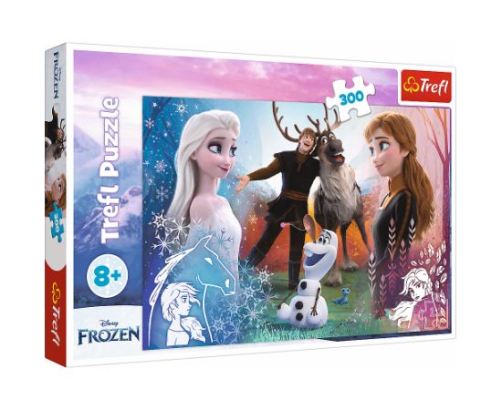 Puzlis TREFL Frozen Magic time 300 gb. 7+ T23006