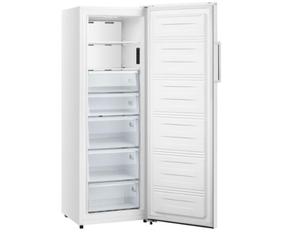 Gorenje FN617EEW5