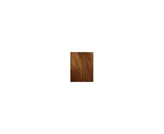 Garnier Olia 60g W / Hair Color