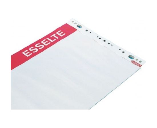 Pad for conferences Esselte, 59x80 cm, 60 g white (50) 0715-008